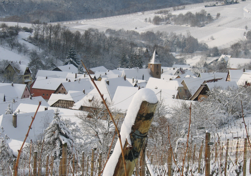 Bernardvillé Alsace