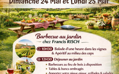 Pique nique du vigneron à Bernardvillé